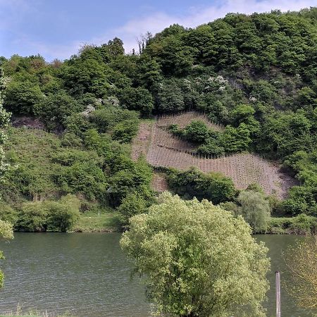 Ferienwohnung "Zum Klosterruinenblick" Kröv المظهر الخارجي الصورة